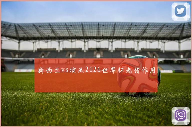 新西兰vs埃及2026世界杯老将作用