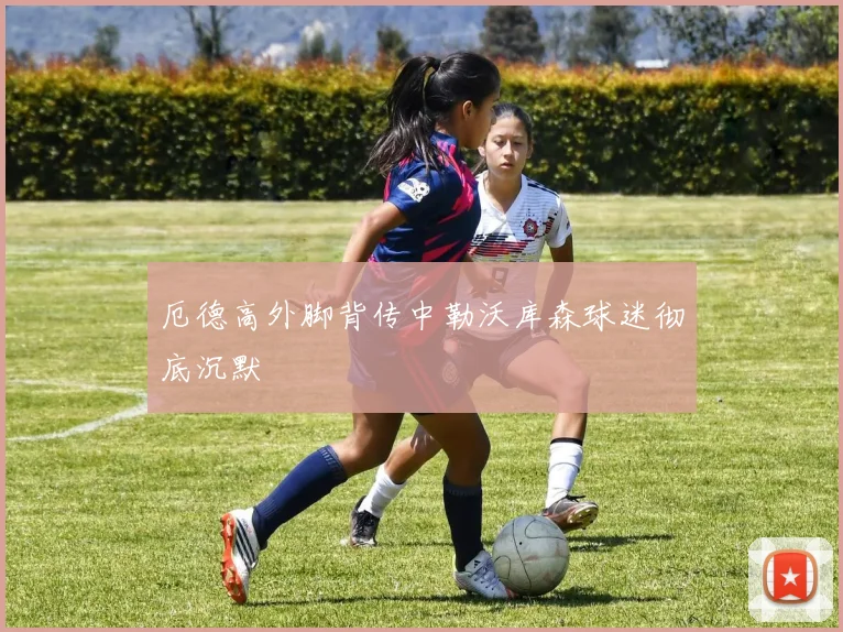 厄德高外脚背传中勒沃库森球迷彻底沉默