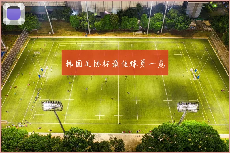 韩国足协杯最佳球员一览