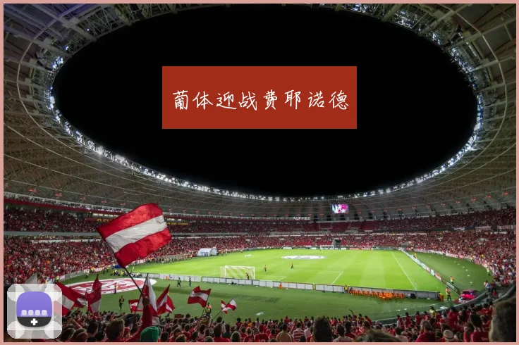 葡体迎战费耶诺德