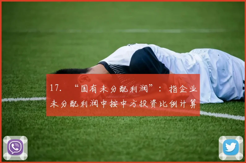17．“国有未分配利润”：指企业未分配利润中按中方投资比例计算