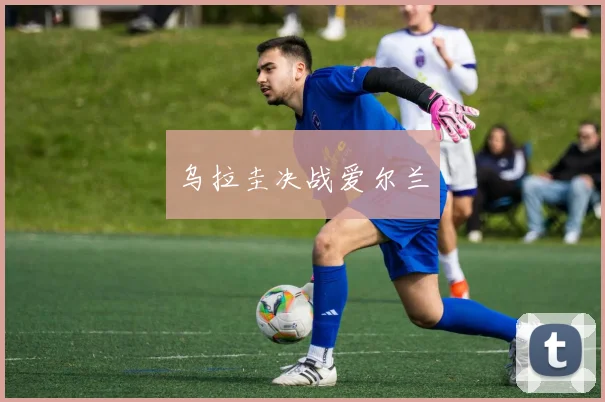 乌拉圭决战爱尔兰