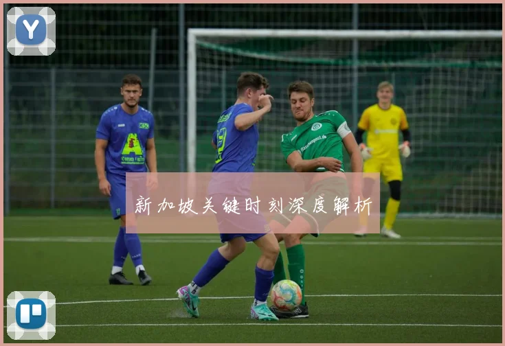 新加坡关键时刻深度解析