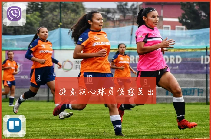 捷克核心球员伤愈复出