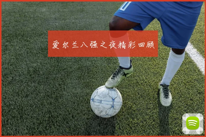 爱尔兰八强之夜精彩回顾