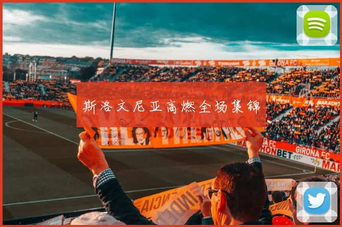 斯洛文尼亚高燃全场集锦
