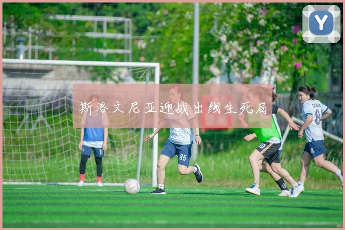 斯洛文尼亚迎战出线生死局