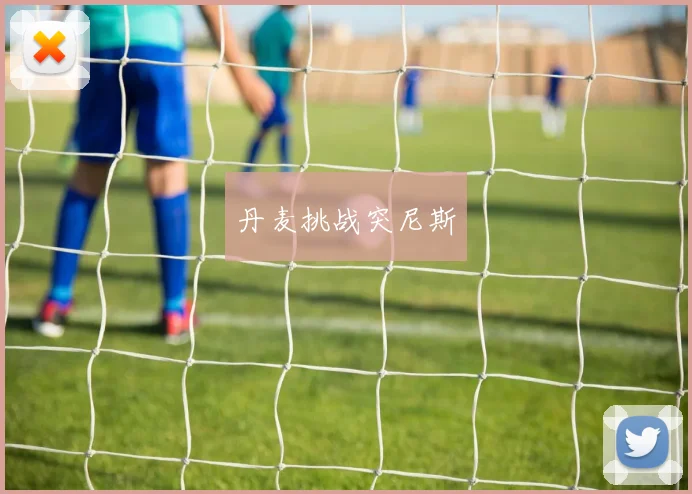 丹麦挑战突尼斯