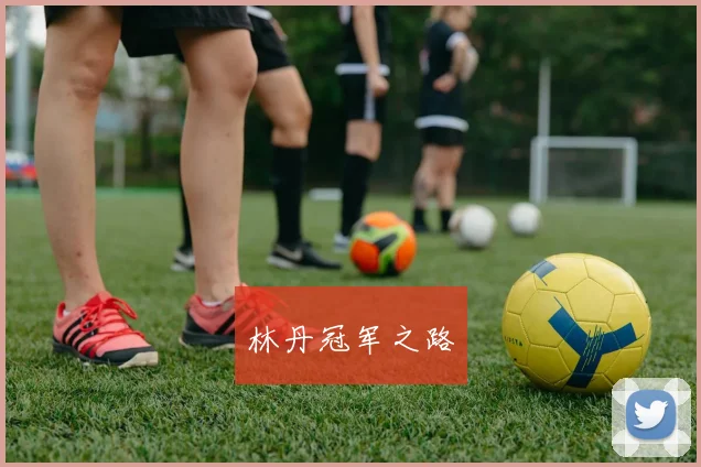 林丹冠军之路