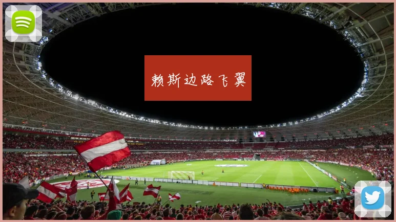 赖斯边路飞翼