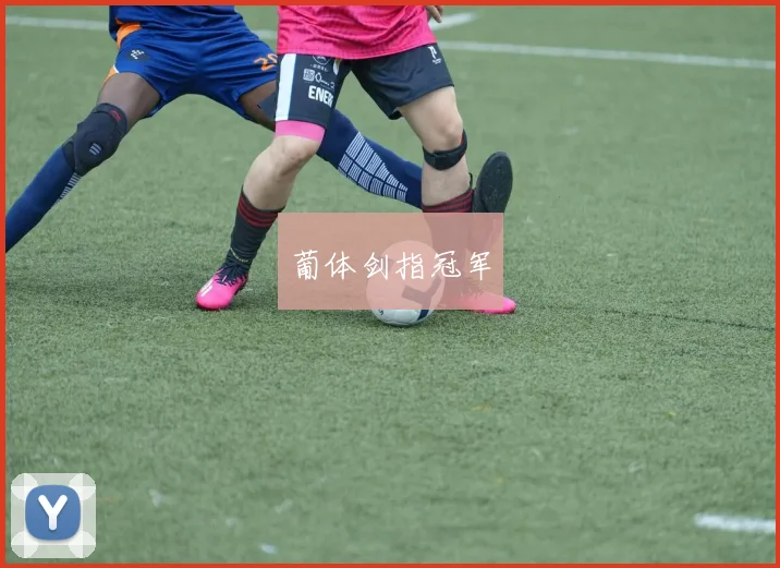 葡体剑指冠军