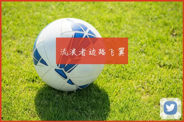 流浪者边路飞翼
