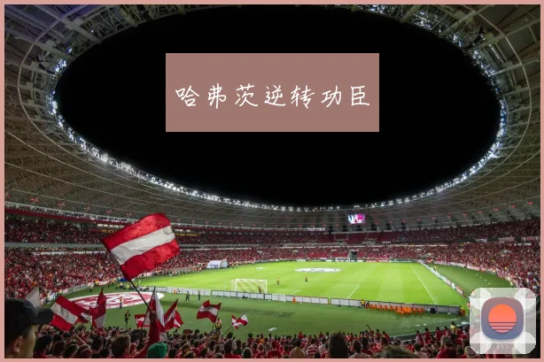 哈弗茨逆转功臣