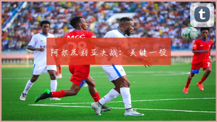阿尔及利亚决战:关键一役