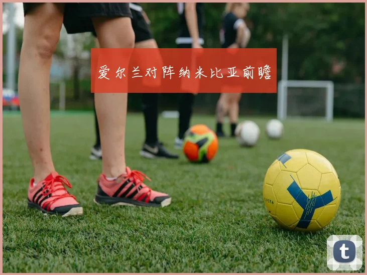爱尔兰对阵纳米比亚前瞻
