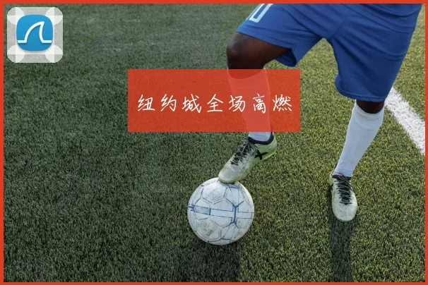纽约城全场高燃