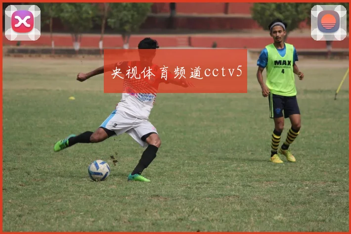 央视体育频道cctv5