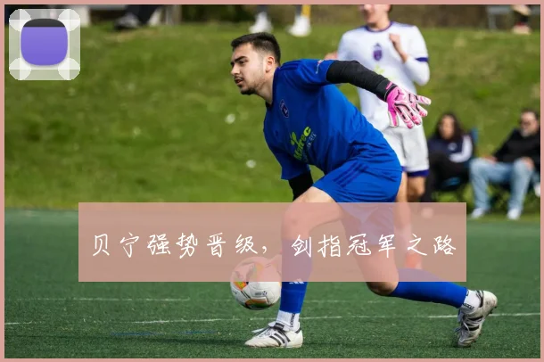 贝宁强势晋级,剑指冠军之路