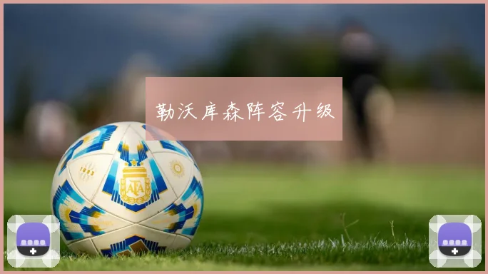 勒沃库森阵容升级