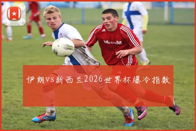 伊朗vs新西兰2026世界杯爆冷指数