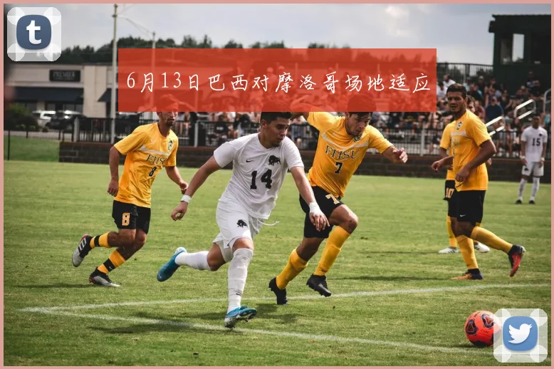 6月13日巴西对摩洛哥场地适应