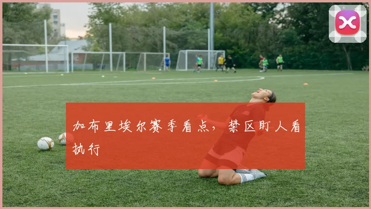 加布里埃尔赛季看点,禁区盯人看执行