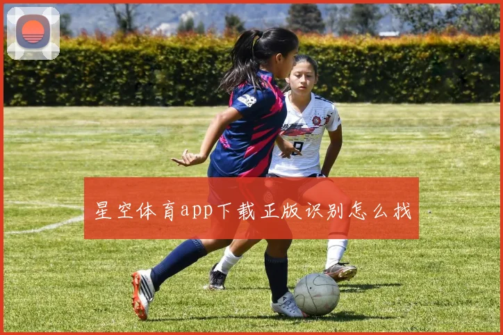 星空体育app下载正版识别怎么找