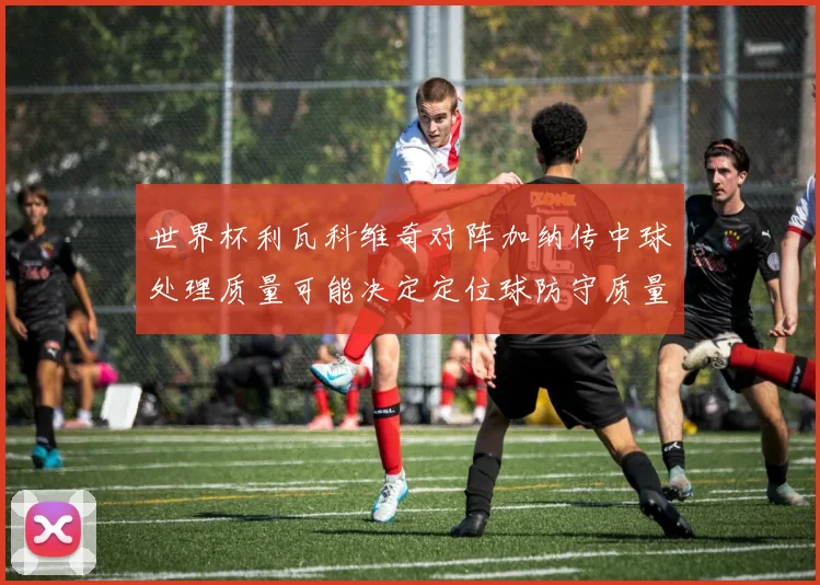 世界杯利瓦科维奇对阵加纳传中球处理质量可能决定定位球防守质量